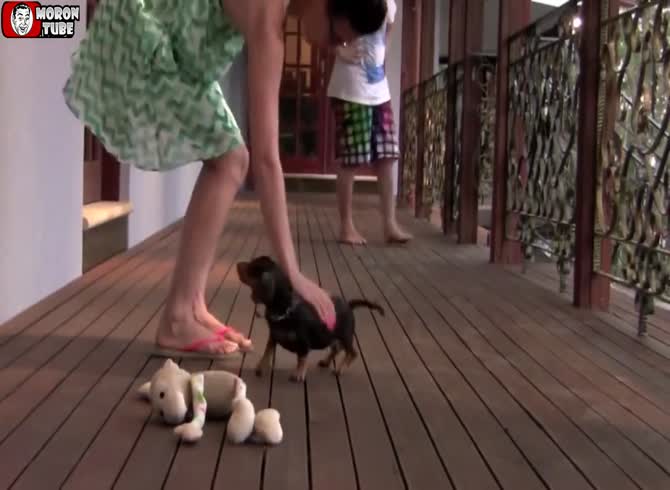 Video :He stands up for his mistress even if he is only a puppy